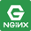  وب سرور NGINX
